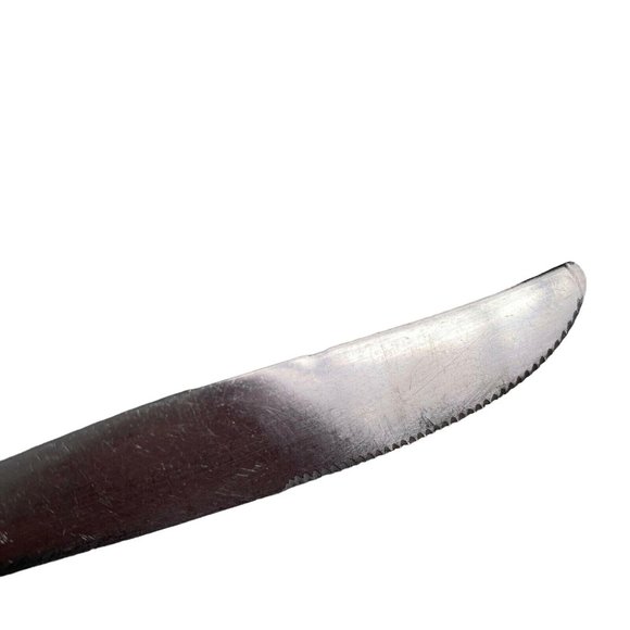 Rogers IS Stainless USA INS185 Modern Solid Burnished Knives Knife Lot of 5 - Picture 9 of 10